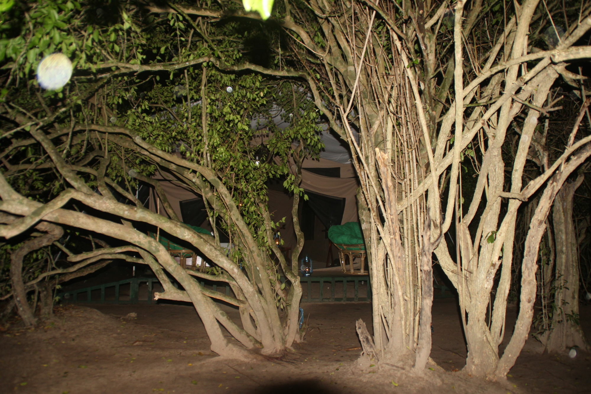 Wilderness Camping Yala Exterior foto